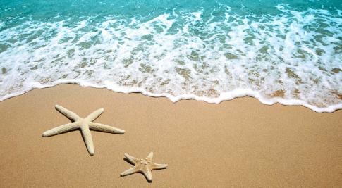 JUNE OFFER in Rimini in 4-star hotel near the beach